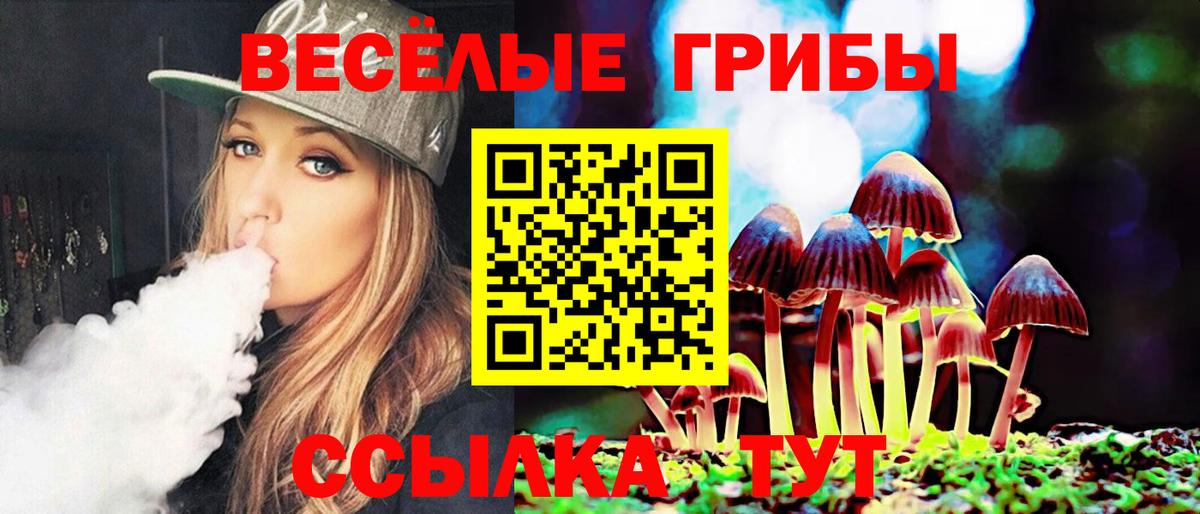 Донецк  Галлюциногенные грибы Magic Shrooms  Вход с VPN  Галлюциногенные грибы прущие грибы 